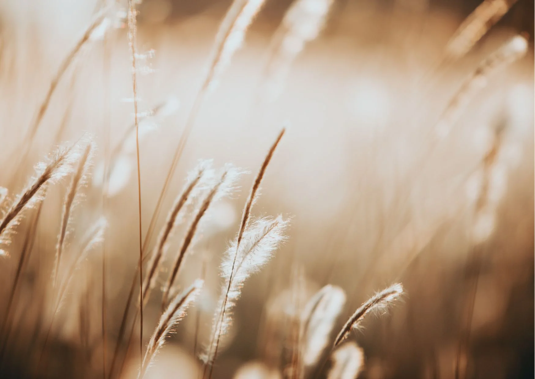 Naturbild, Licht
